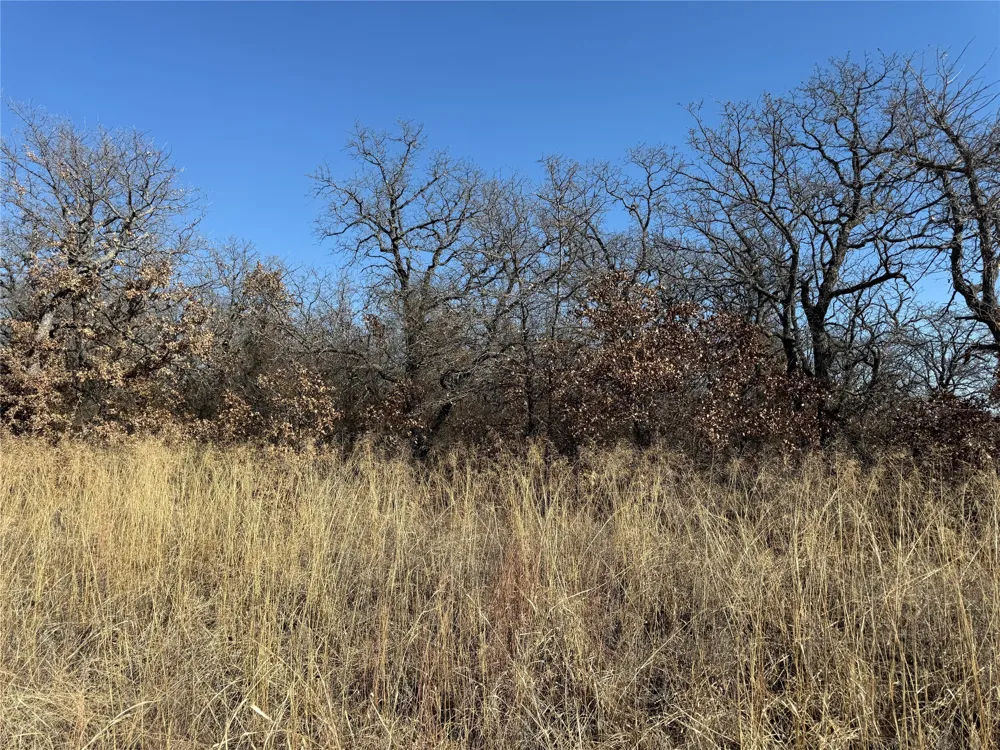128 Rivercrest Drive Nocona, TX 76255