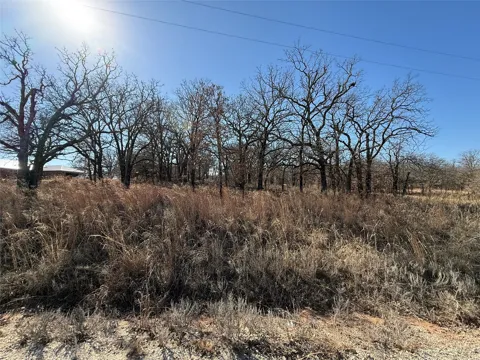 101 Comanche Trail