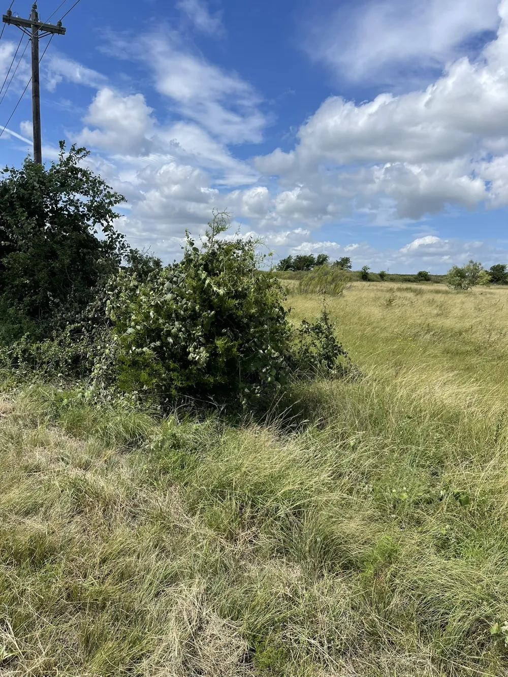 316 HWY US 183 NORTH Briggs, TX 78608