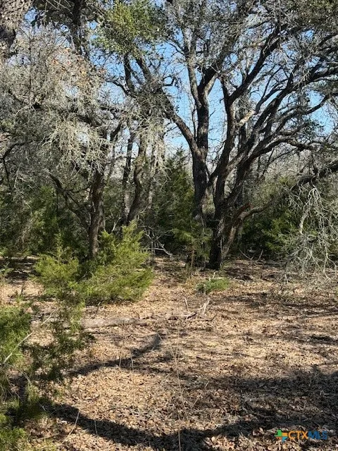 Fm-1447 Yoakum, TX 77995