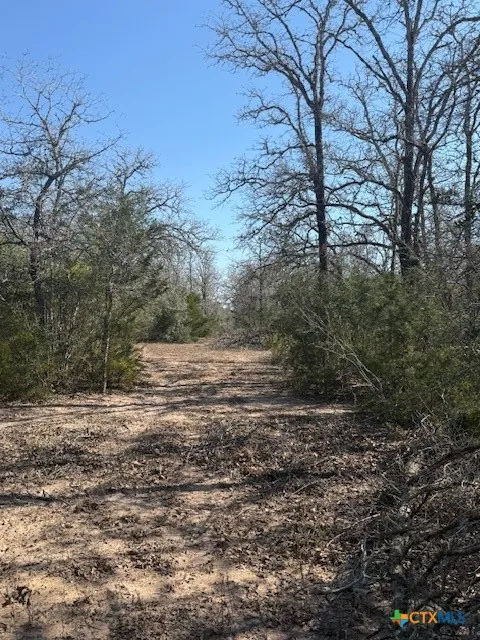 Fm-1447 Yoakum, TX 77995