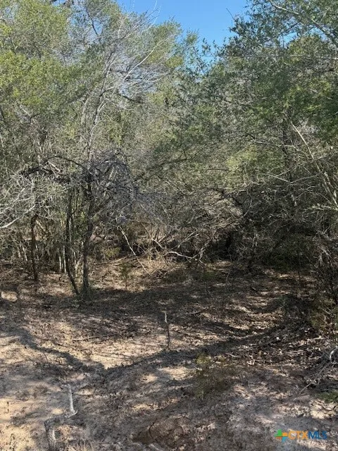 Fm-1447 Yoakum, TX 77995