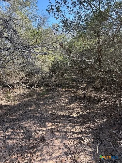 Fm-1447 Yoakum, TX 77995