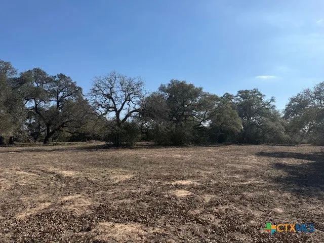 Fm-1447 Yoakum, TX 77995