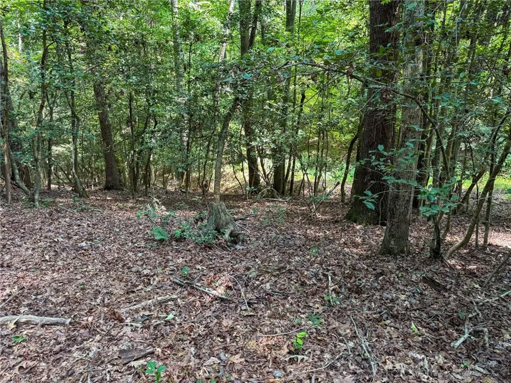 0 Rainbow Trout Drive Hays, NC 28635