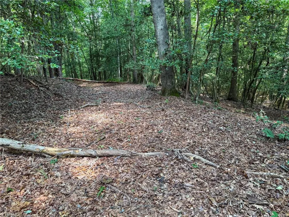 0 Rainbow Trout Drive Hays, NC 28635