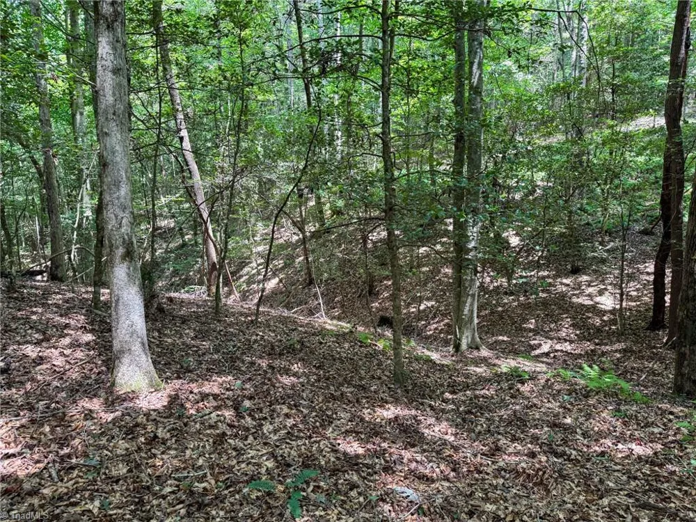 0 Rainbow Trout Drive Hays, NC 28635
