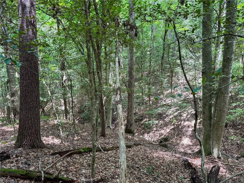 0 Rainbow Trout Drive Hays, NC 28635