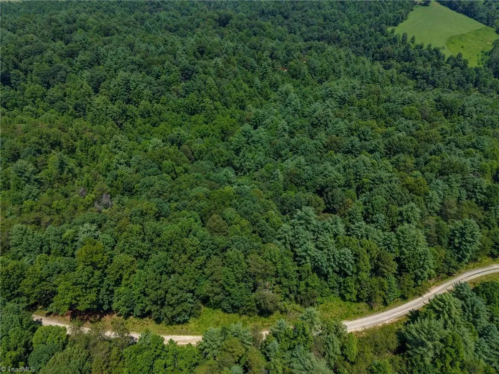 0 Rainbow Trout Drive Hays, NC 28635