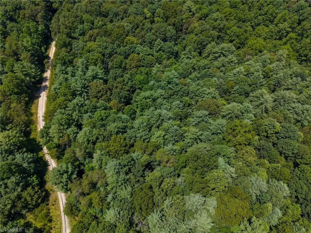 0 Rainbow Trout Drive Hays, NC 28635
