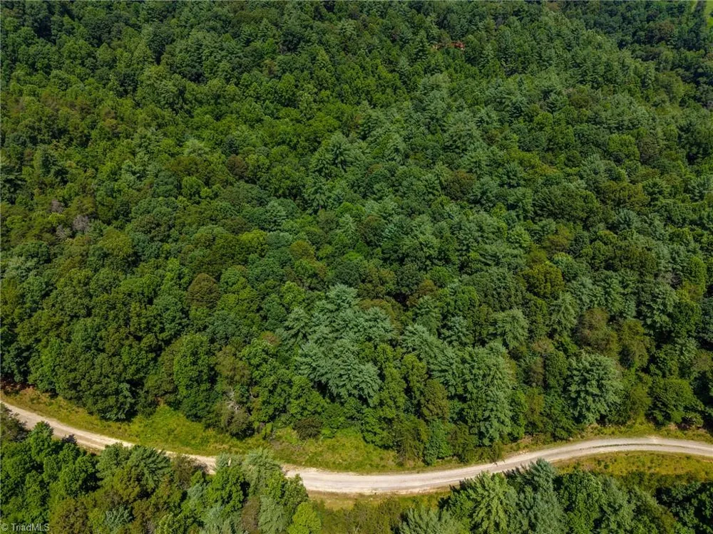 0 Rainbow Trout Drive Hays, NC 28635
