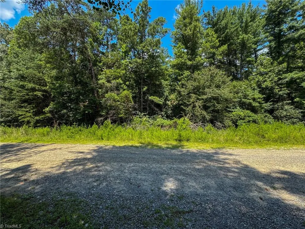 0 Rainbow Trout Drive Hays, NC 28635