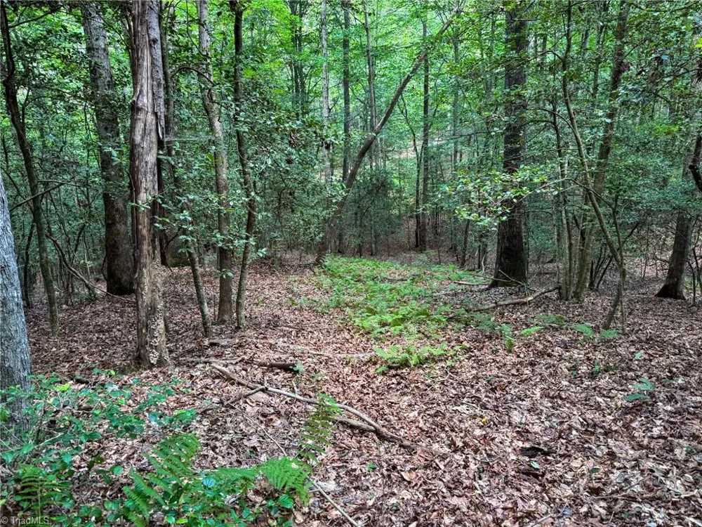 0 Rainbow Trout Drive Hays, NC 28635