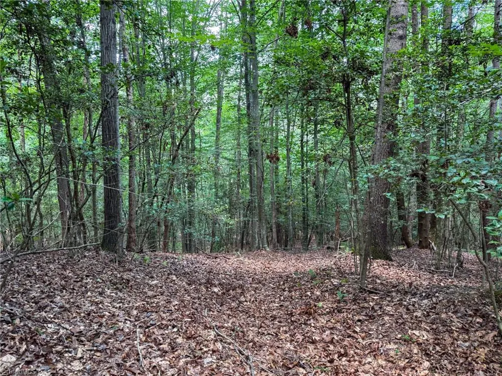 0 Rainbow Trout Drive Hays, NC 28635