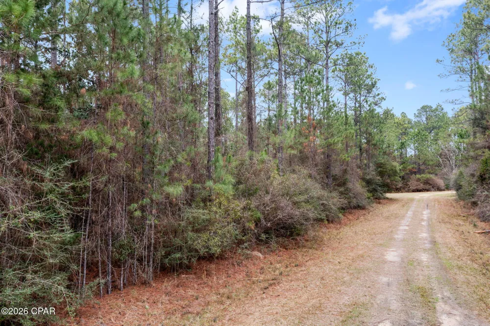 Hawthorne Trail Bonifay, FL 32425