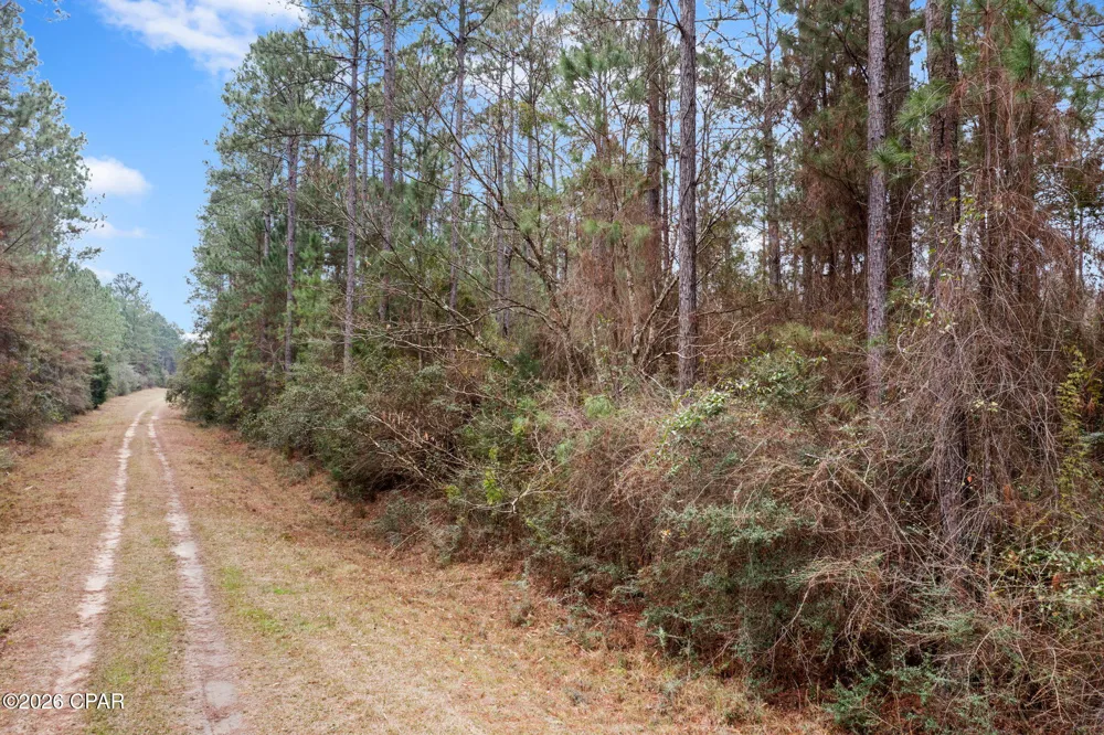 Hawthorne Trail Bonifay, FL 32425