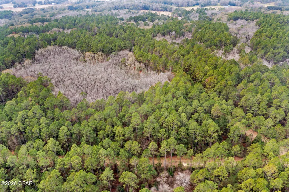 Hawthorne Trail Bonifay, FL 32425