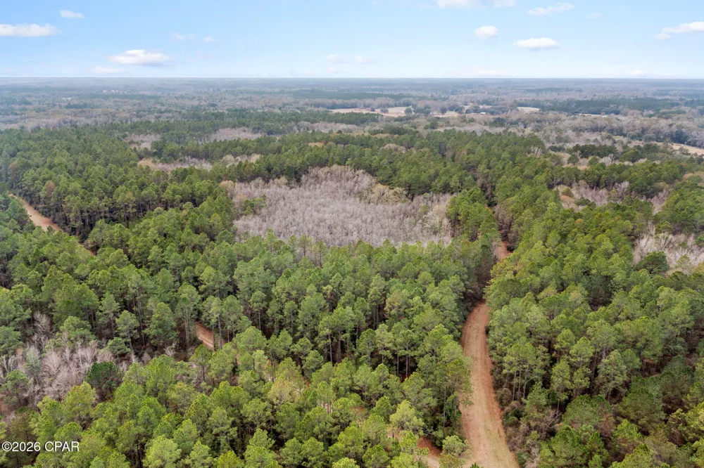 Hawthorne Trail Bonifay, FL 32425