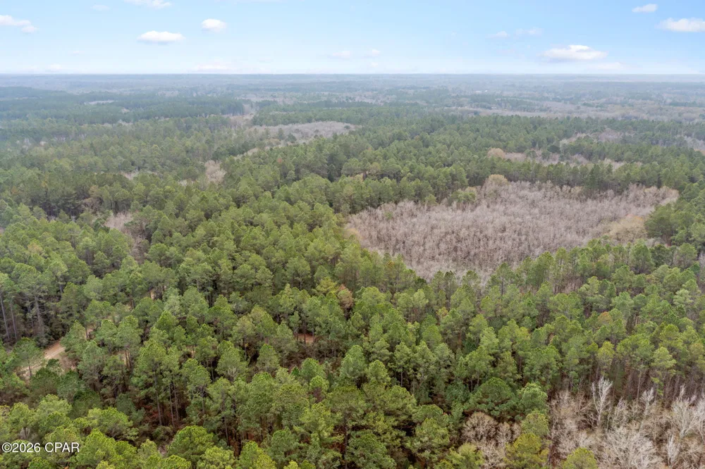Hawthorne Trail Bonifay, FL 32425