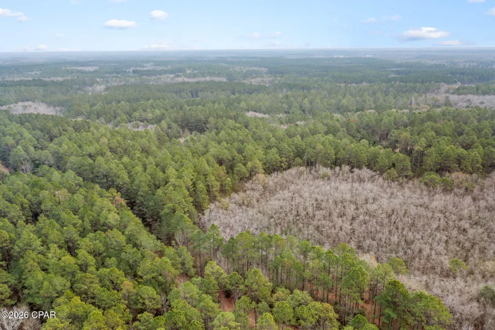 Hawthorne Trail Bonifay, FL 32425