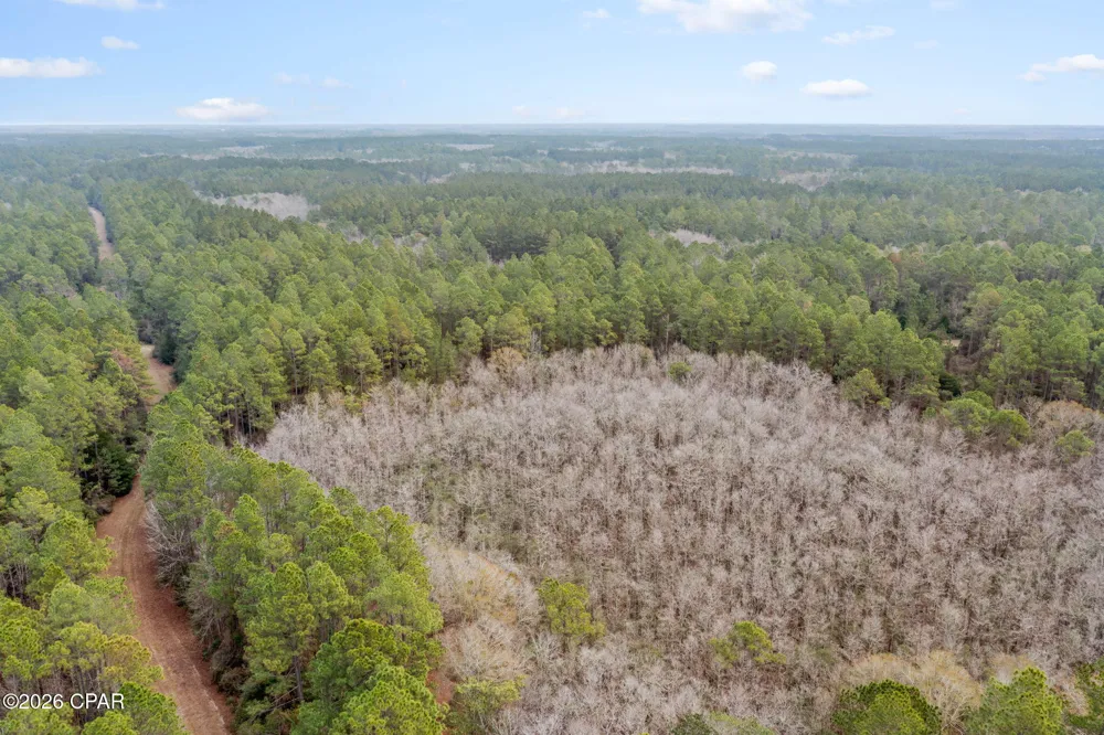 Hawthorne Trail Bonifay, FL 32425