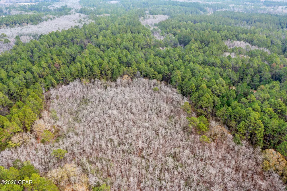 Hawthorne Trail Bonifay, FL 32425