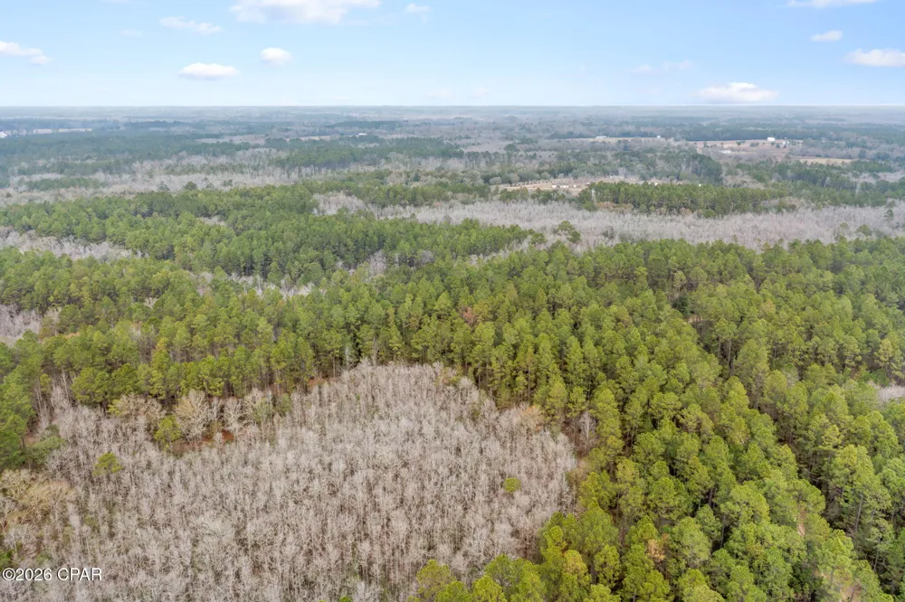 Hawthorne Trail Bonifay, FL 32425