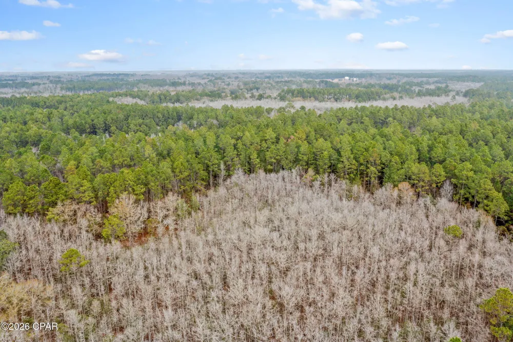Hawthorne Trail Bonifay, FL 32425