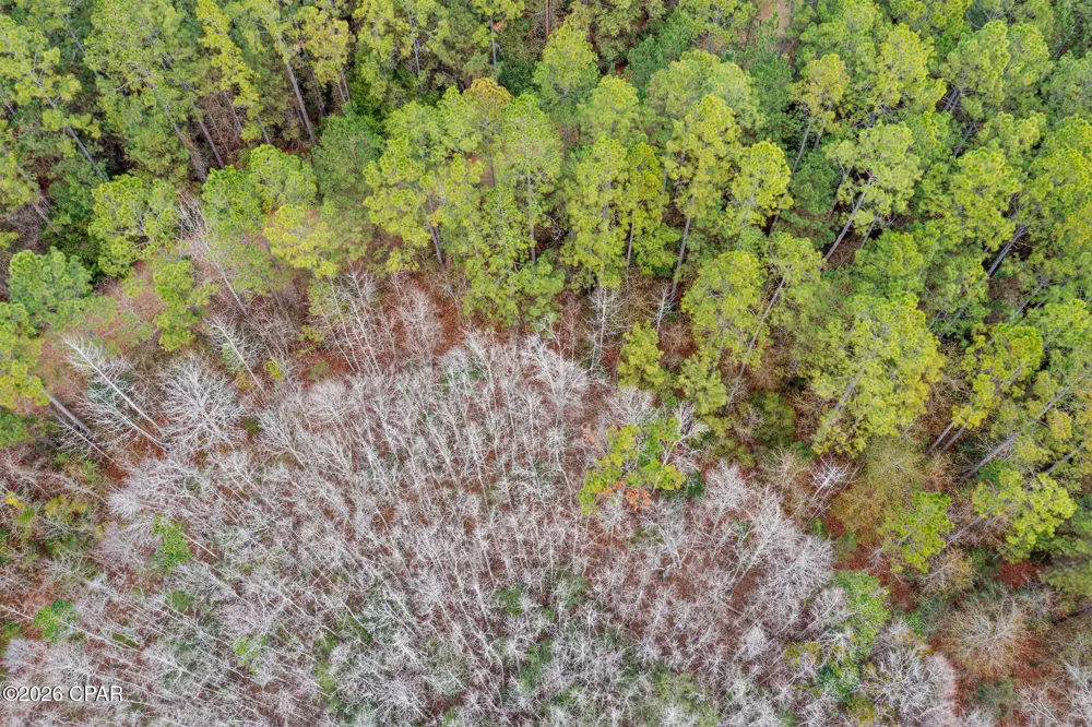 Hawthorne Trail Bonifay, FL 32425