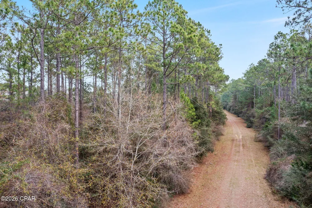 White Oak Lane Bonifay, FL 32425