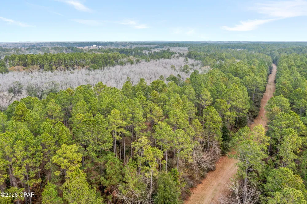 White Oak Lane Bonifay, FL 32425