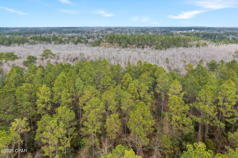 White Oak Lane Bonifay, FL 32425