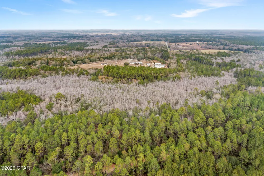 White Oak Lane Bonifay, FL 32425