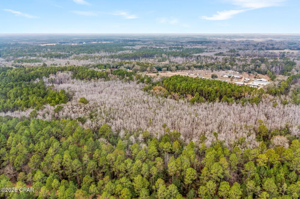 White Oak Lane Bonifay, FL 32425