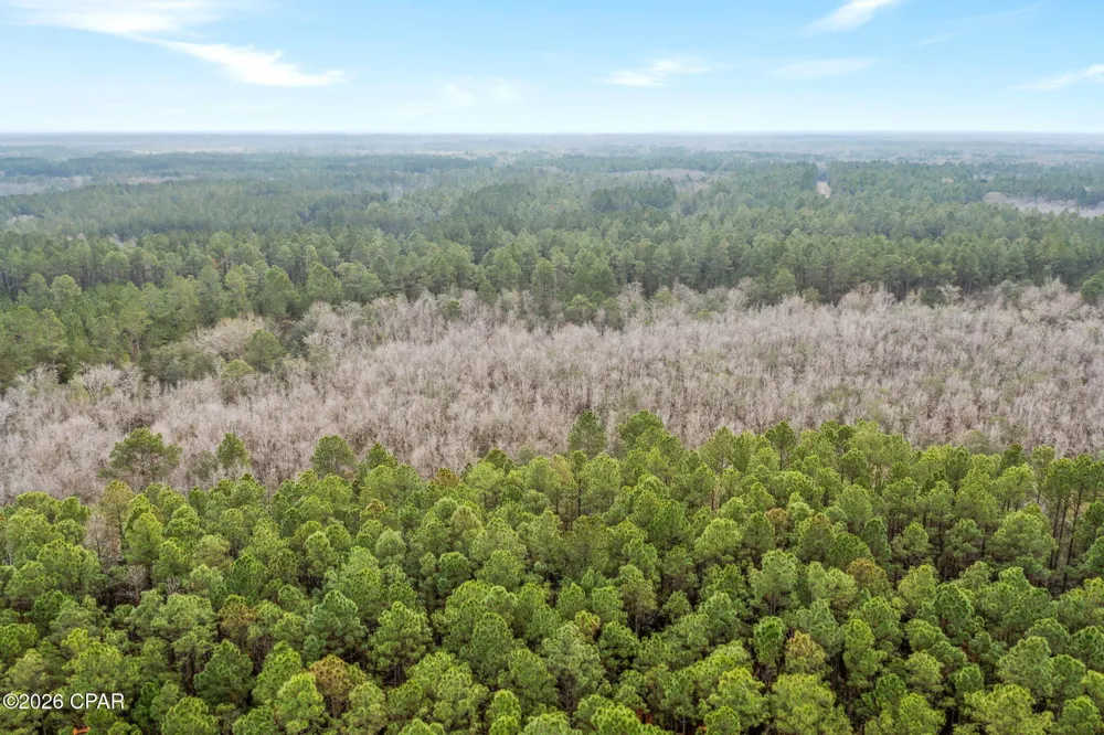 White Oak Lane Bonifay, FL 32425