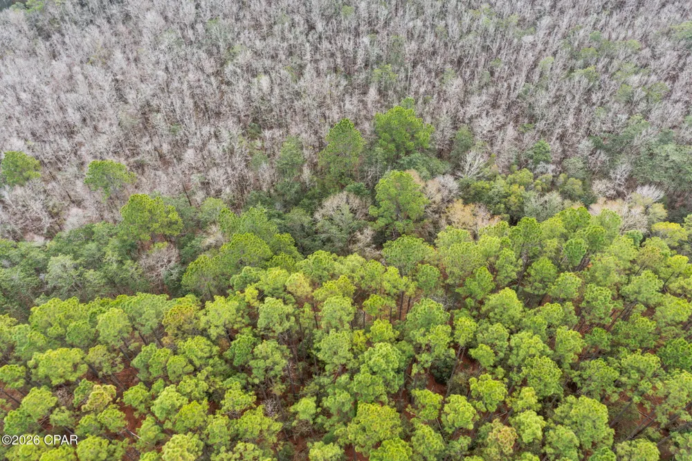 White Oak Lane Bonifay, FL 32425
