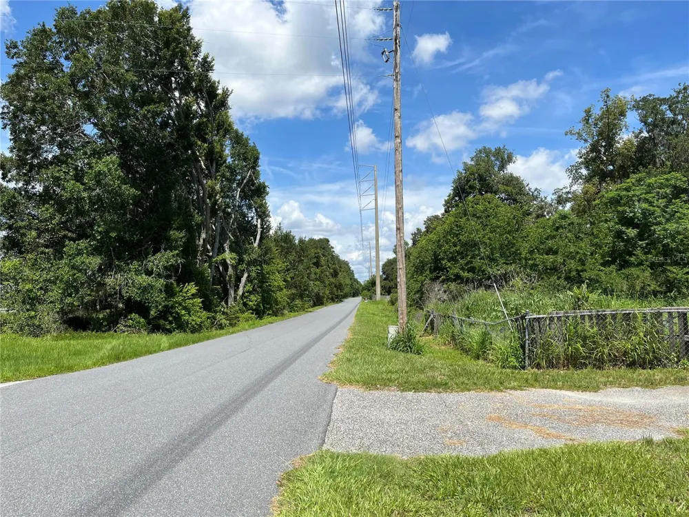 411 ALIBRANDI ROAD Leesburg, FL 34748