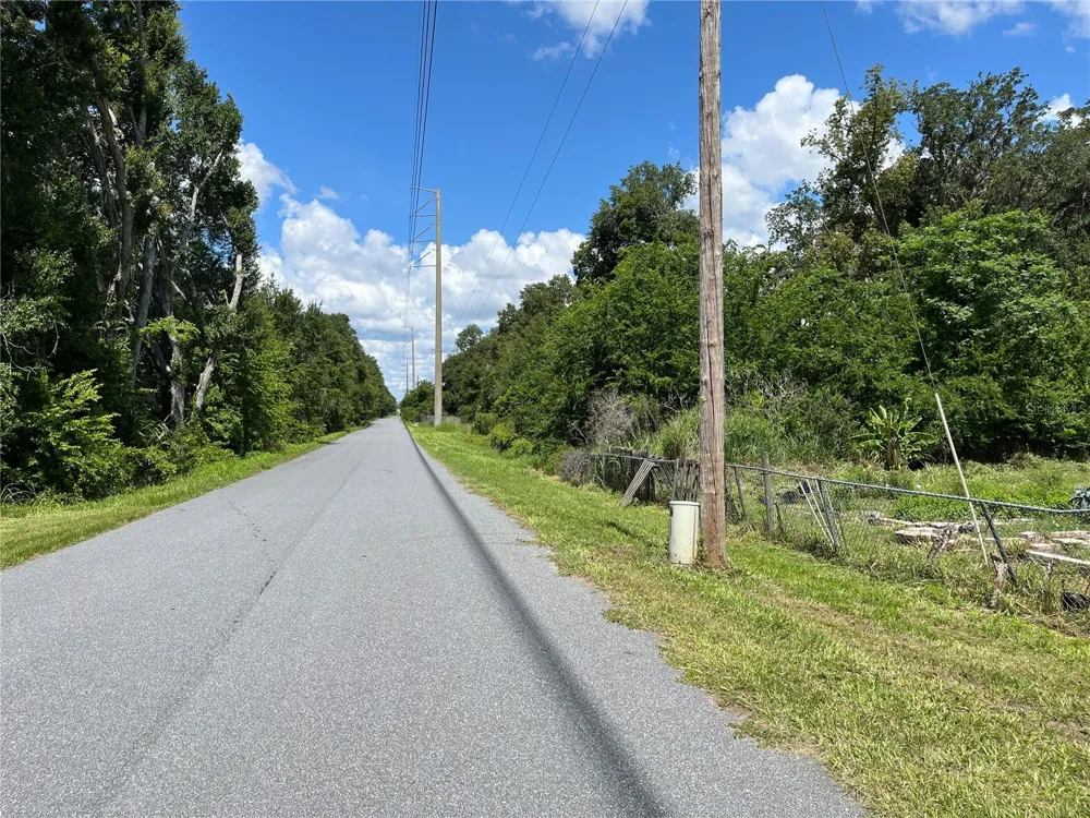 411 ALIBRANDI ROAD Leesburg, FL 34748