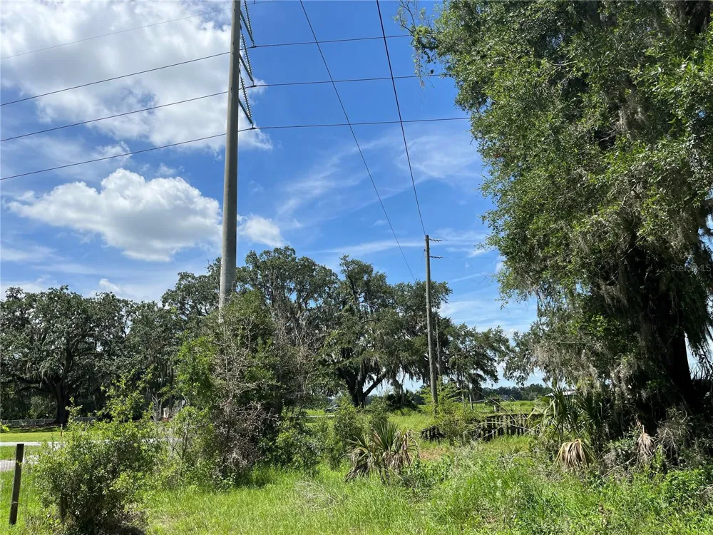 411 ALIBRANDI ROAD Leesburg, FL 34748
