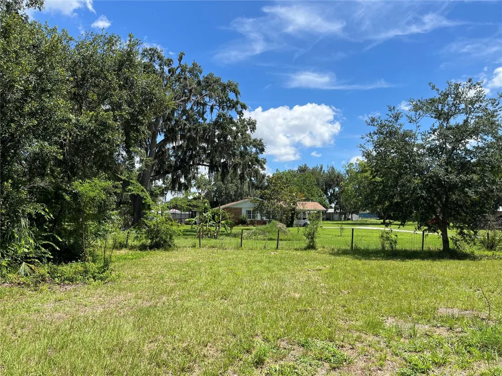 411 ALIBRANDI ROAD Leesburg, FL 34748