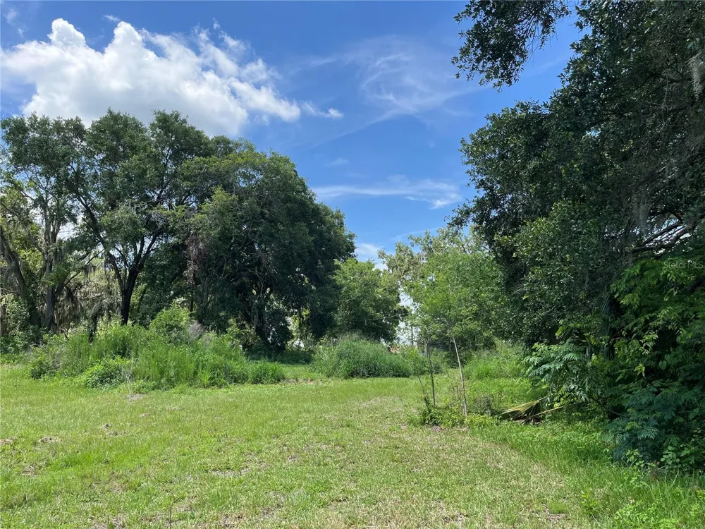 411 ALIBRANDI ROAD Leesburg, FL 34748