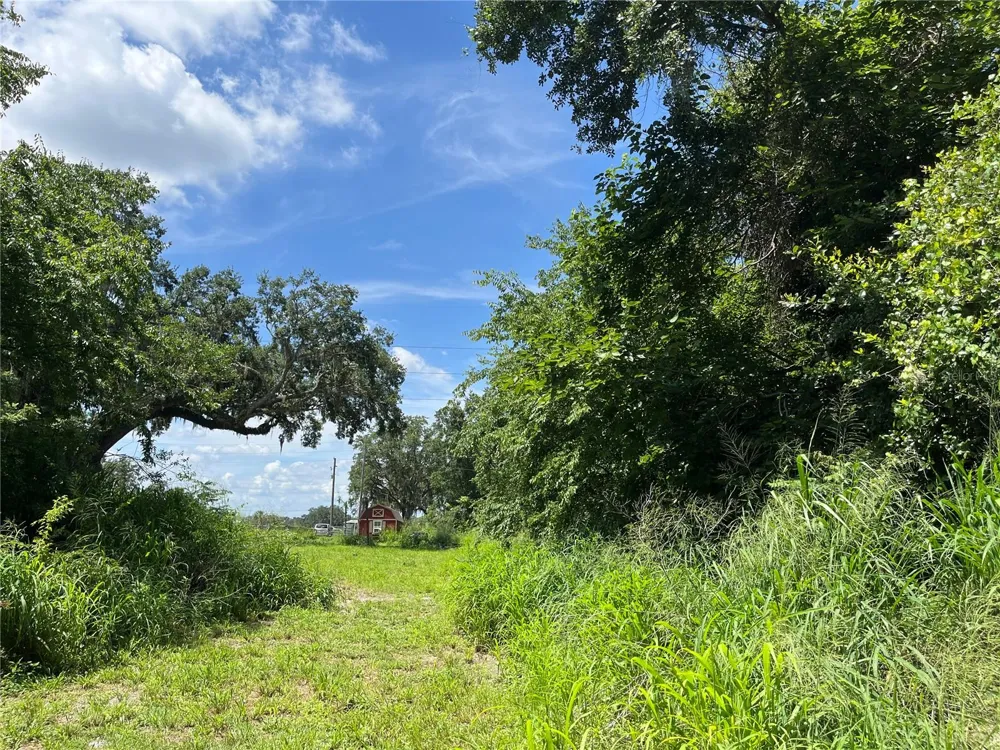 411 ALIBRANDI ROAD Leesburg, FL 34748
