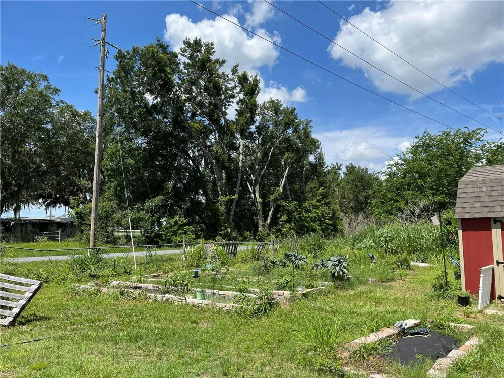 411 ALIBRANDI ROAD Leesburg, FL 34748