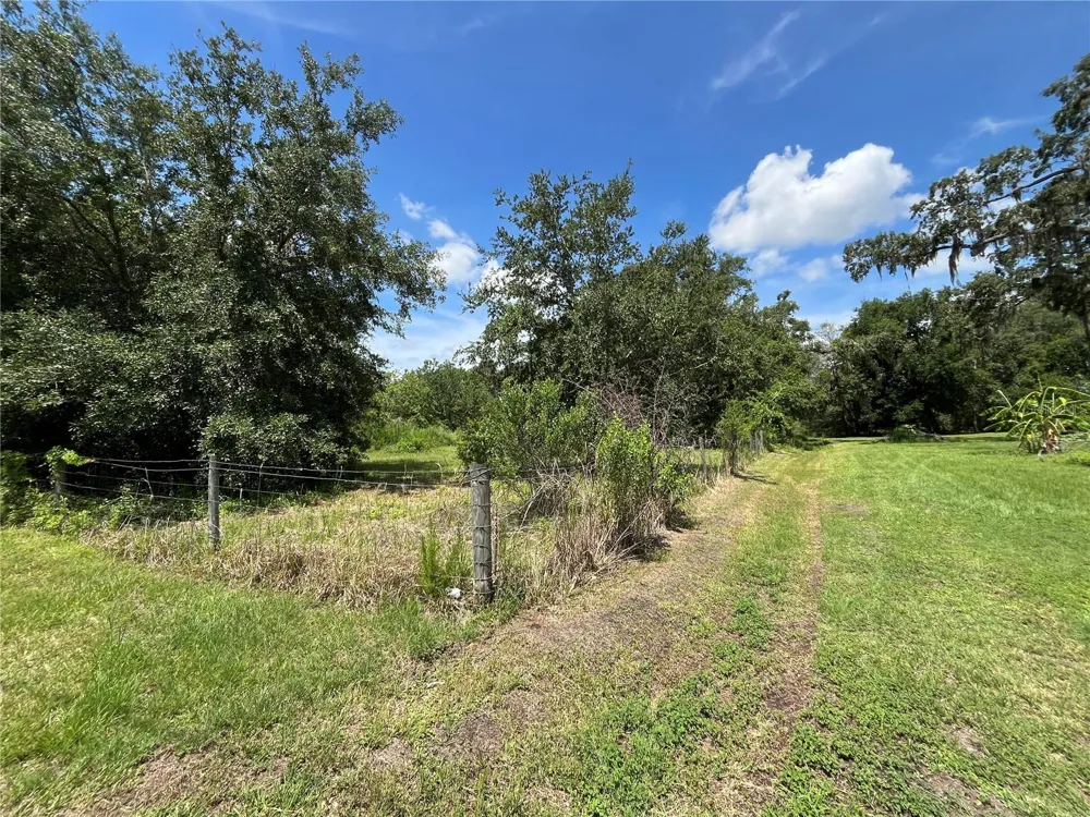 411 ALIBRANDI ROAD Leesburg, FL 34748