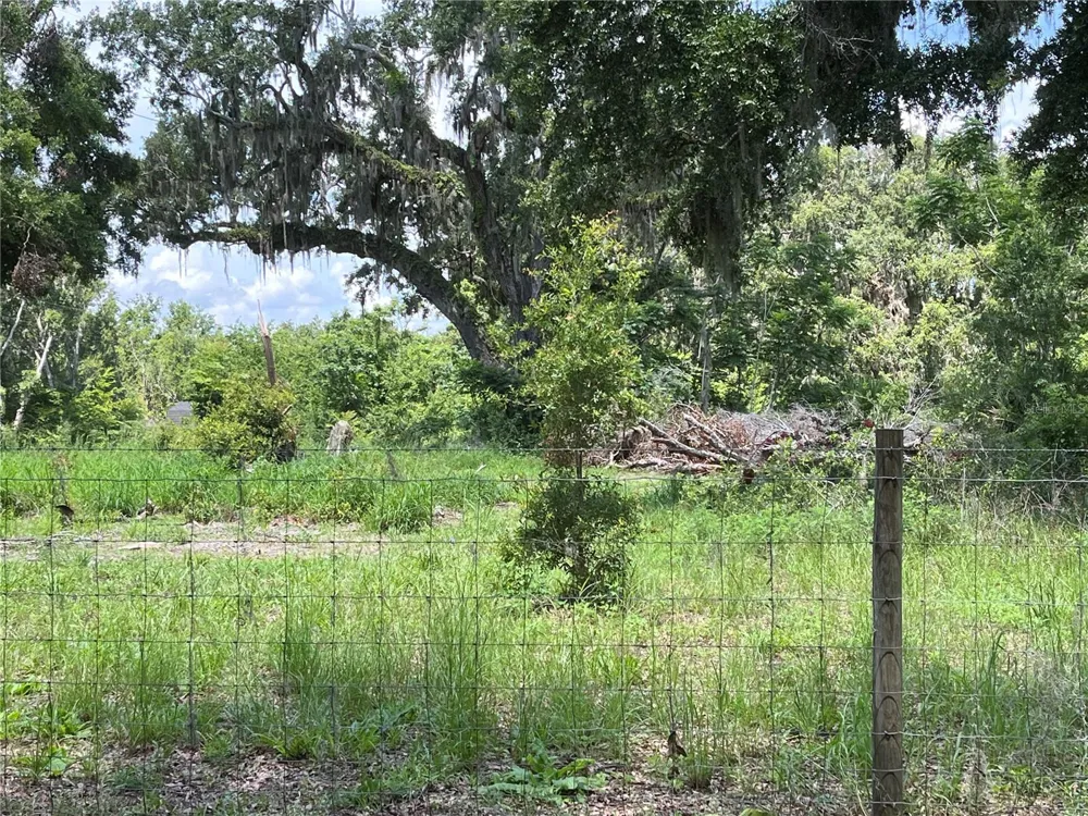 411 ALIBRANDI ROAD Leesburg, FL 34748