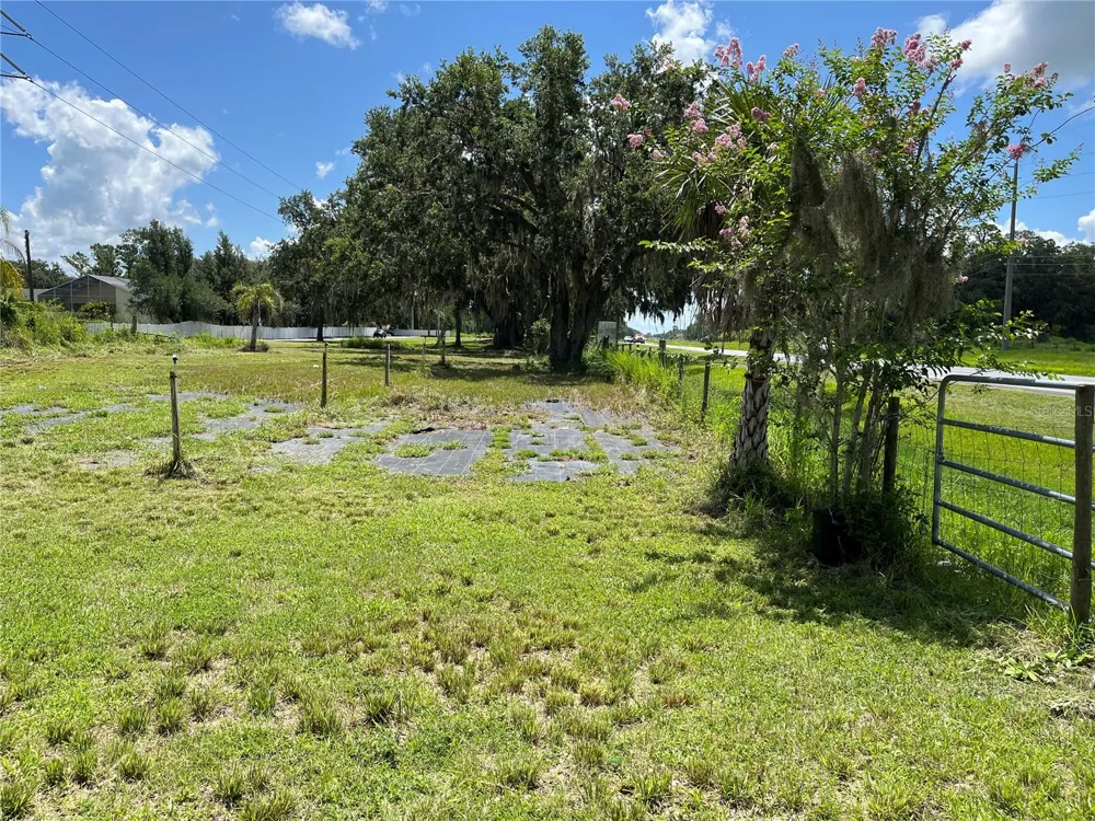 411 ALIBRANDI ROAD Leesburg, FL 34748