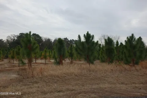 Lot 43 Stuarts Mill Road