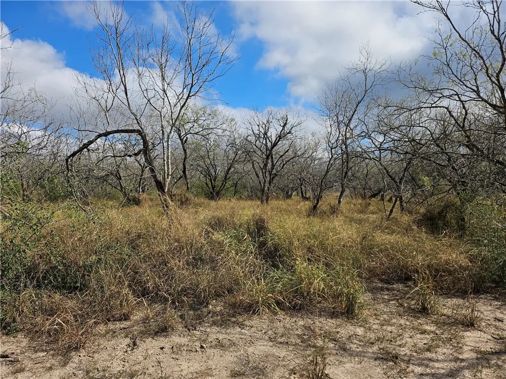 23354 County Road 1038 Mathis, TX 78368