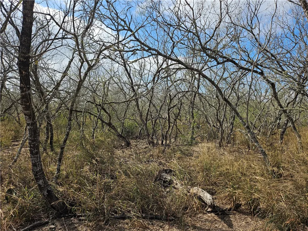 23354 County Road 1038 Mathis, TX 78368