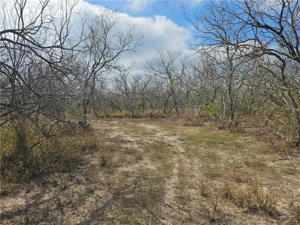 23354 County Road 1038 Mathis, TX 78368